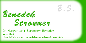 benedek strommer business card